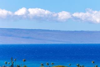 Kapalua Golf FREE CAR by KBM ML-1217 - 0