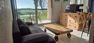 Amouvera C14, T2 vue mer, piscine, clim, parking - 4