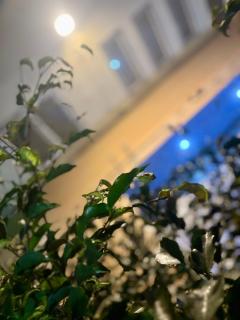 2BHK Farmhouse with Pool & Garden - Noida Best Farm BBQ, Bonfire, BYOB, Private Party, Music System, Pet Friendly - 1