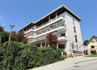 Lakefront Bled - Rooms & Apartments - 1