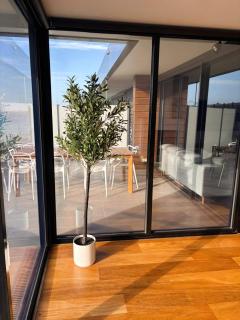 PIER POINT 3 Bedroom Deluxe Apartment located on The Geelong Waterfront - 106 - 4