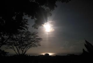 Emerald Forest House - 1