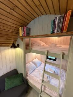 Żuławska Zielona Przystań -  - 6