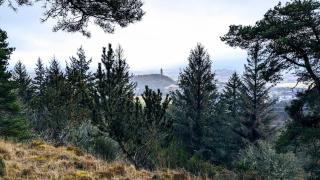 Luxury Shepherds Hut on Powis House Estate - 7