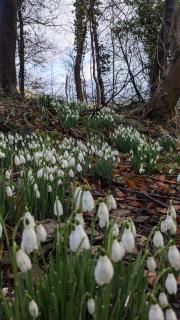 Luxury Shepherds Hut on Powis House Estate - 1