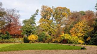 Luxury Shepherds Hut on Powis House Estate - 2