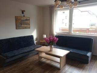 Willa Julia-pokoje w centrum, ogród, sauna, grill - 2