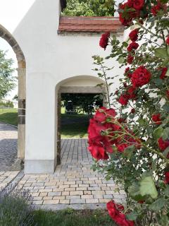 Ferienwohnung Gut Börtewitz - 7