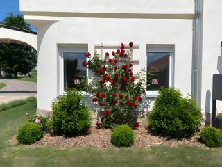 Ferienwohnung Gut Börtewitz - 8