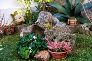 affittacamere S'Ortensia - 2