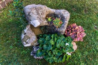 affittacamere S'Ortensia - 5