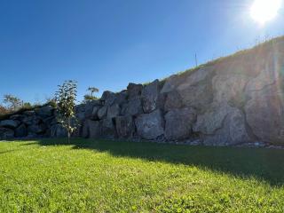 Black Forest Brandenkopfblick - 7