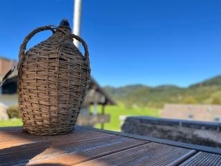 Black Forest Brandenkopfblick - 5