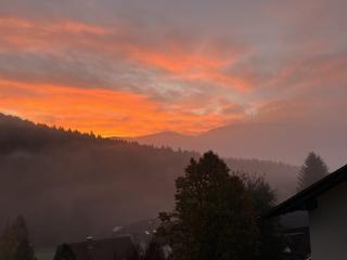 Black Forest Brandenkopfblick - 1