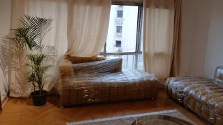 حدايق عباس العقاد - 8