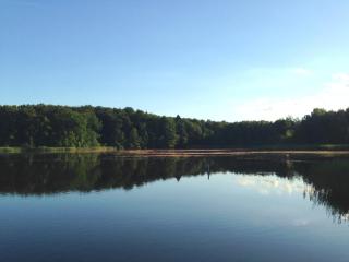 Alexandra am Wald - 5