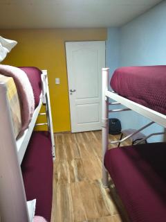 Milenarios - El Chaltén - 1