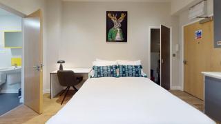 Cosy studio in amazing location in Queens rd - 4