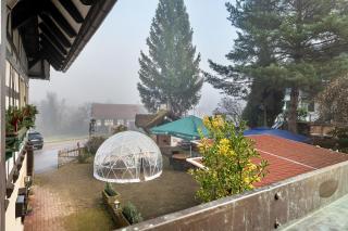 Holzwurm Apartments - 2