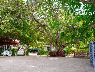 Bonsai Rentals - West Bay Private Rooms - 6