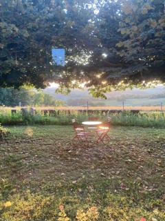 Den gamle skole i Salclas - 6