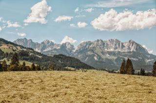 Apartment Wachinghof - 4