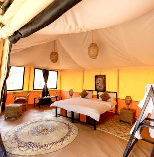Ndutu Bush Camp - 2