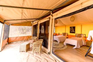 Ndutu Bush Camp - 1