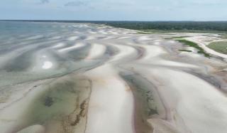 Steps to Bayside Beach Central AC Large Backyard - 7