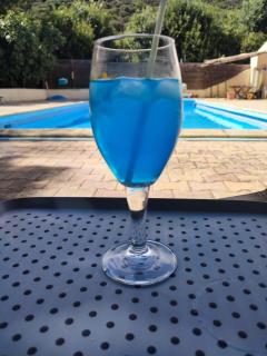 Gîte avec piscine près d'Uzès - 1