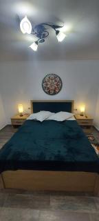 Casa de vacanta Niculitel - 7