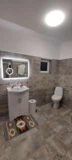 Casa de vacanta Niculitel - 3