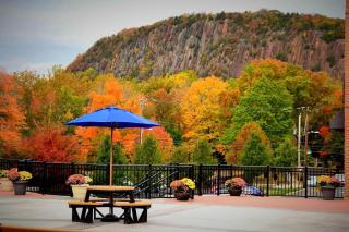 Landing Apartment - Westville Village - 2