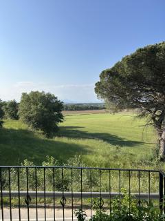 FRANCIAC Casanova - 8