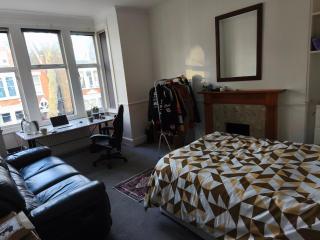 Massive Double room in Chiwick - 0