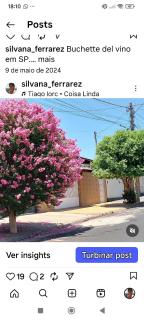 Recanto 22, Casa para temporada com 1 suíte em Olímpia - 8