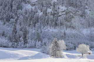 Sonnenbichl Ferienwohnungen - 4