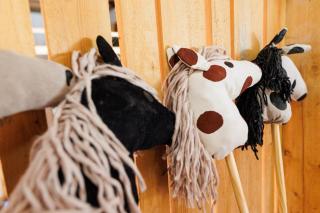 Ferienhof Sonnengarten - 9