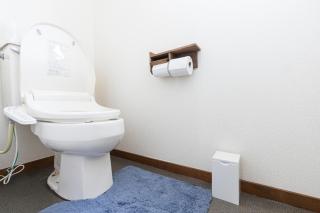 Spacious 1120feet , 3-Bedroom Apartment near Ikebukuro, 2 Minutes to Train - 1