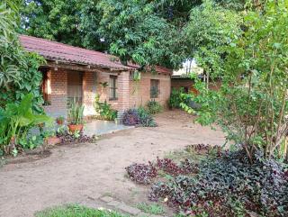 Entre Mangos y Tucanes - 1