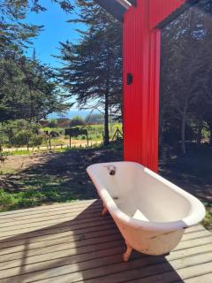 Casita de Lujo en el Pangal Pichilemu - 3