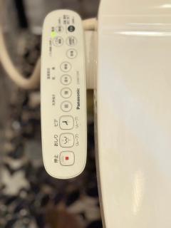 Okayama Urban Peach - 8