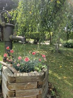 Ferienwohnung Thomée - 5