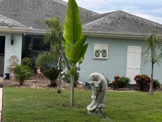 The little Manatee Apartment - 0