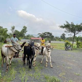 Lake Side Mantra - 8