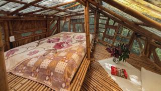 Casa Bambu Floresta Amada - 7