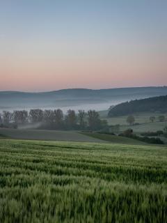 Ferienwohnung Sonnenring - 2