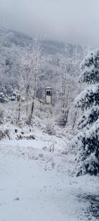 Antico maniero La Ploca - 6