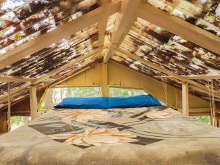 Cabana Floresta Amada - 6