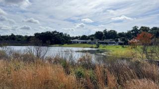 The little Manatee Apartment - 3